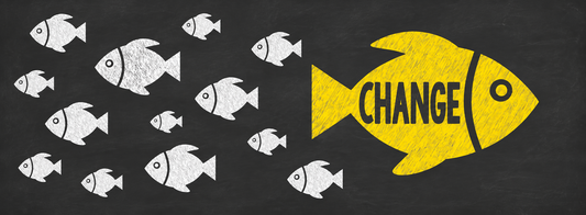 How the CO-OP approach has changed our practice as occupational therapists… and so much more!